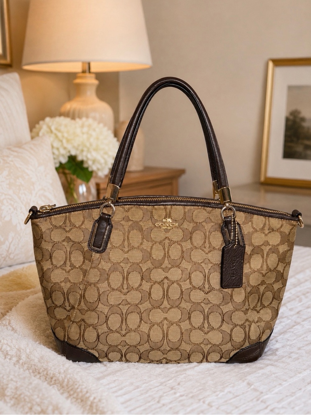 Y2k Coach Brown bag